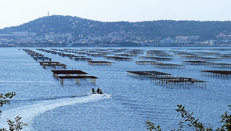etang de thau