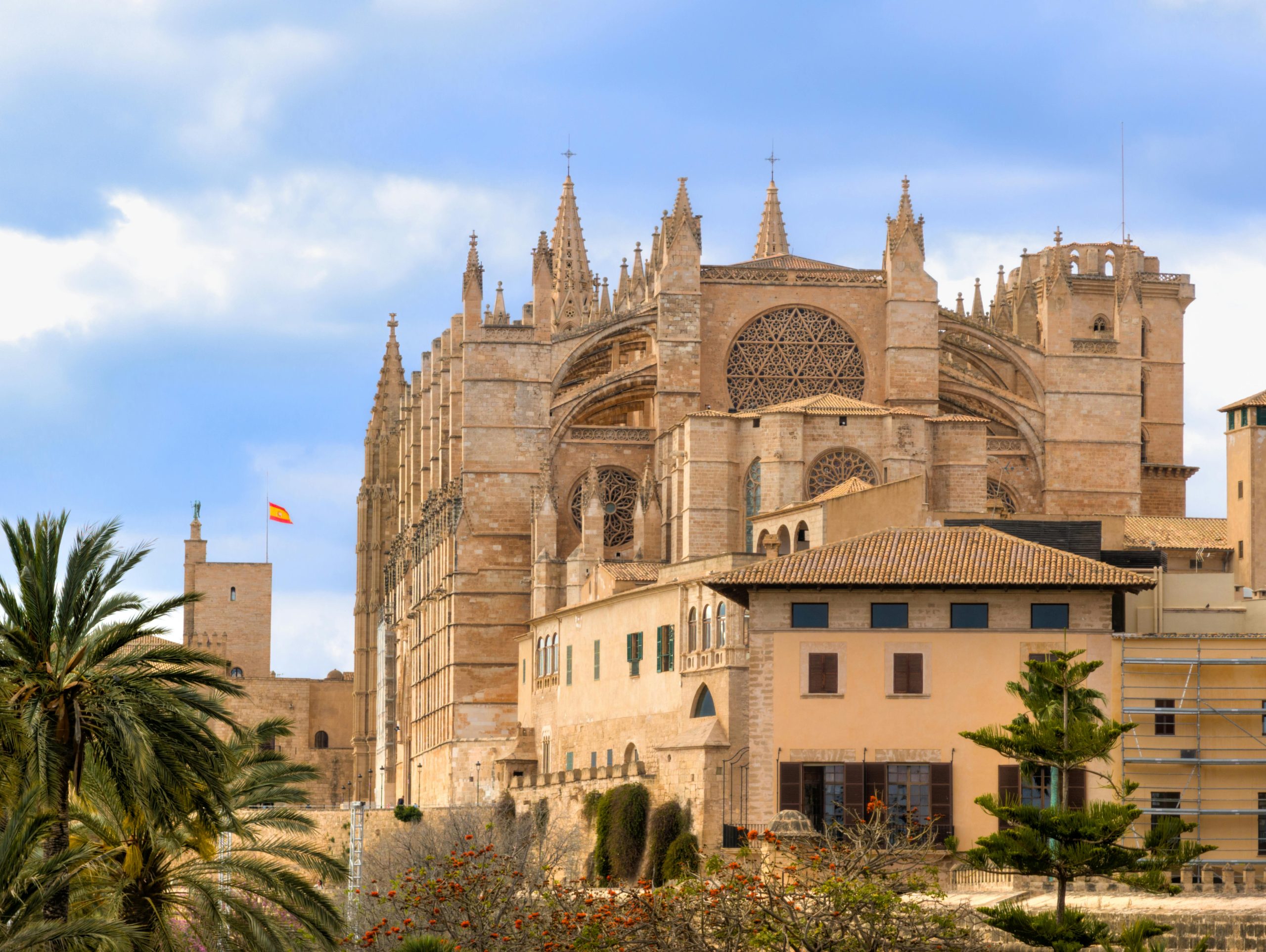 palma